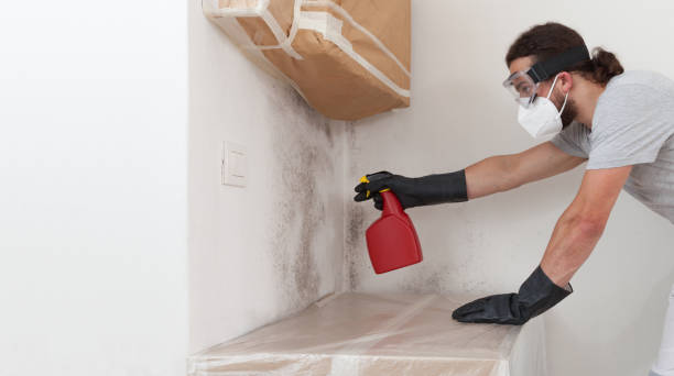 Professional Bathroom Mold Removal technician working in Hoboken, NJ