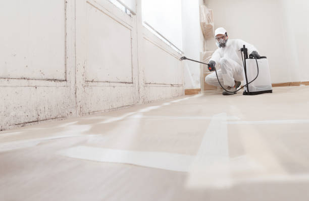 24/7 Emergency Bathroom Mold Removal experts in Hoboken, NJ