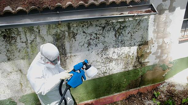 Top rated local Bathroom Mold Removal specialists in Hoboken, NJ